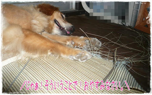 img20090717222648426.jpg