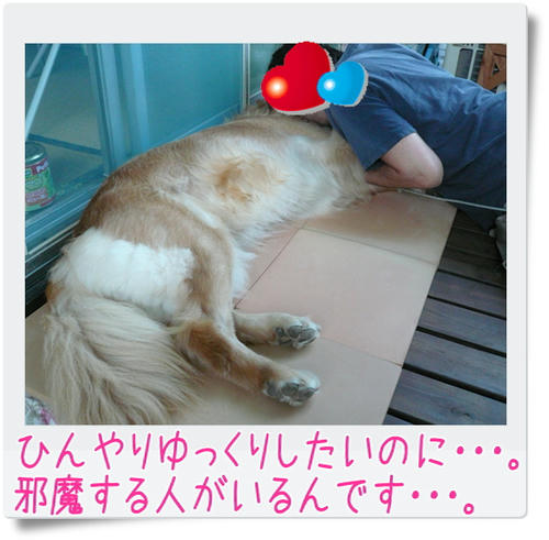img20090731202051101.jpg