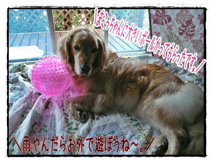 img20090628211250424.jpg