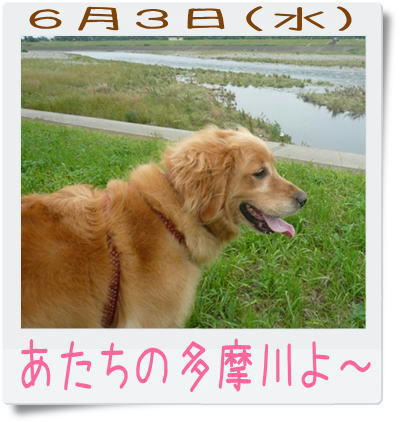 img20090607213608106.jpg