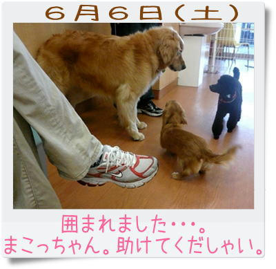 img20090607215254846.jpg