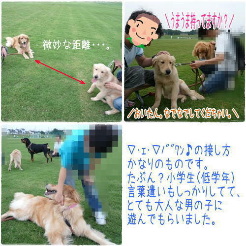 img20090627230948505.jpg