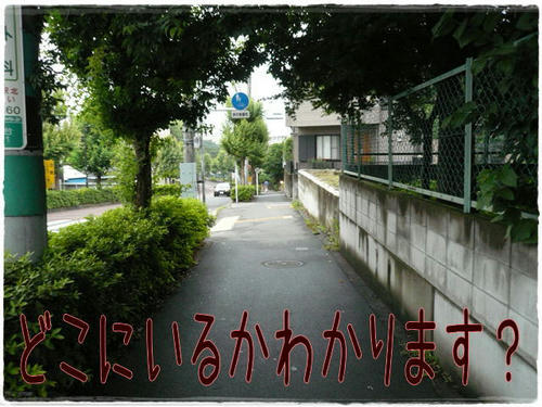img20090625224008134.jpg