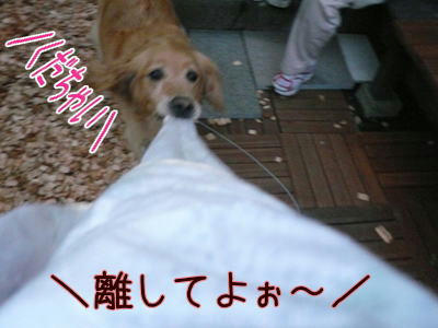 img20090625224402582.jpg