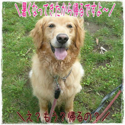 img20090621150359114.jpg