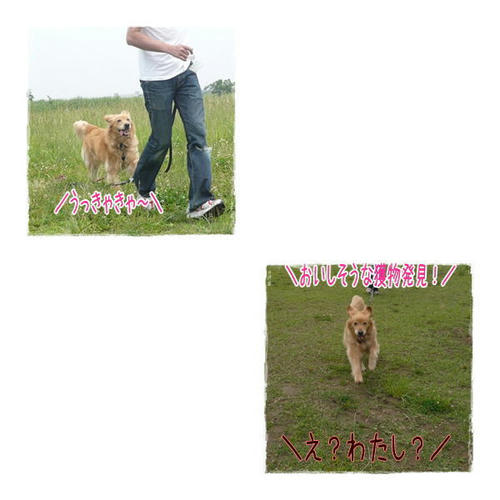 img20090614205353690.jpg