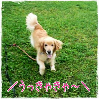 img20090611213625389.jpg