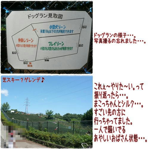 img20090608163130182.jpg