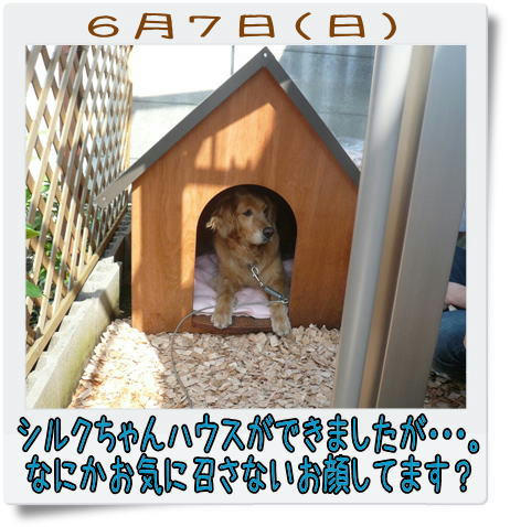img20090608155209137.jpg