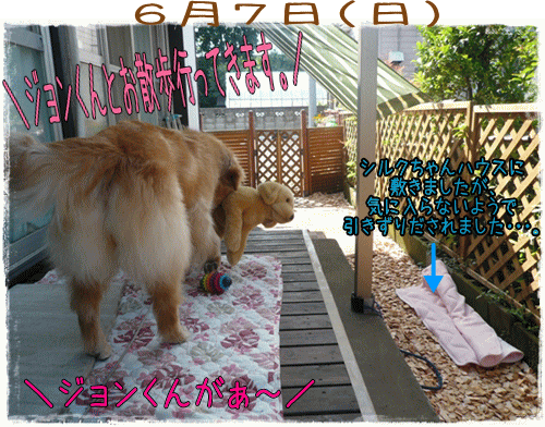 img20090608155829760.gif