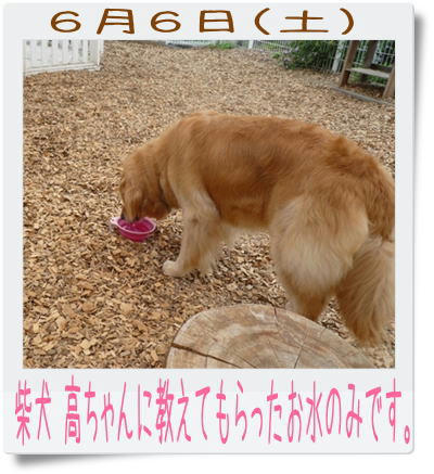 img20090607215554553.jpg