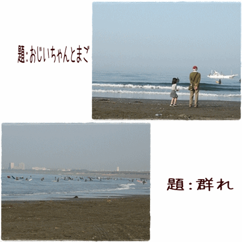 img20090502172951979.jpg