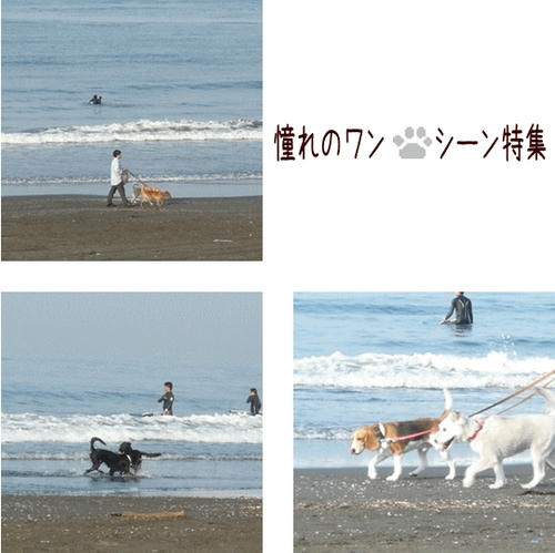 img20090502173207473.jpg