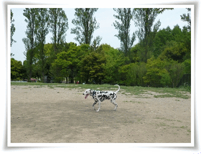 img20090503201657914.gif