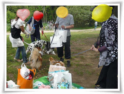 img20090503203931534.gif