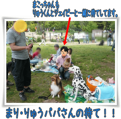 img20090503204110567.gif