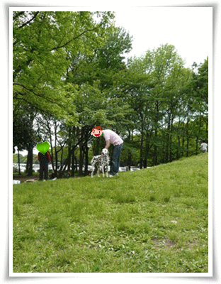 img20090503205119372.gif