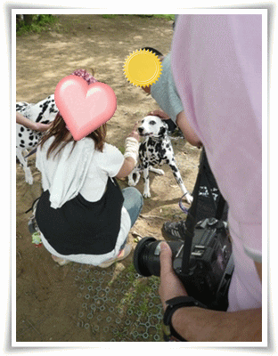 img20090503211428198.gif
