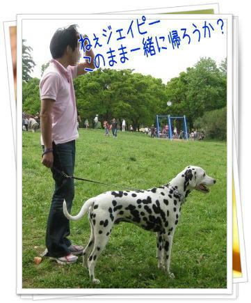 img20090506135702617.jpg