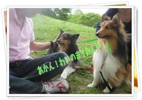 img20090506135849936.jpg