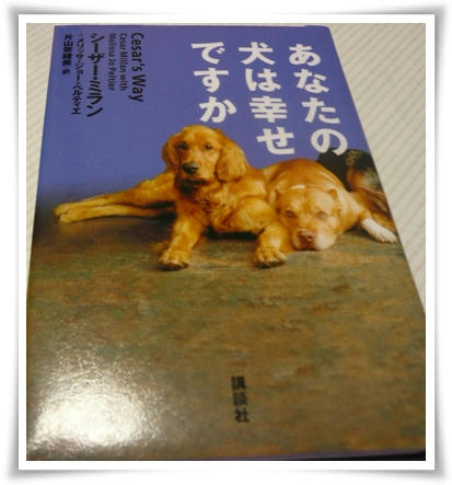 img20090506140827061.jpg