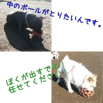 42b3a110.jpeg