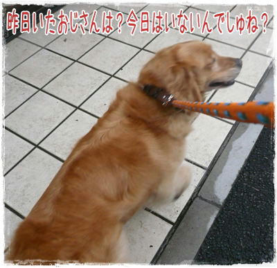 3ad00530.jpeg