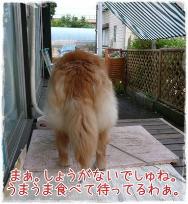 c801992f.jpeg