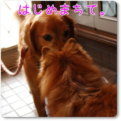 PB276356.JPG