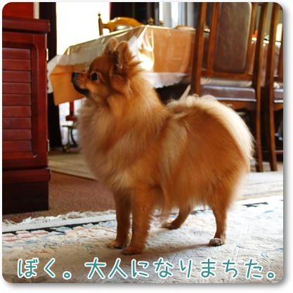 PB276358.JPG
