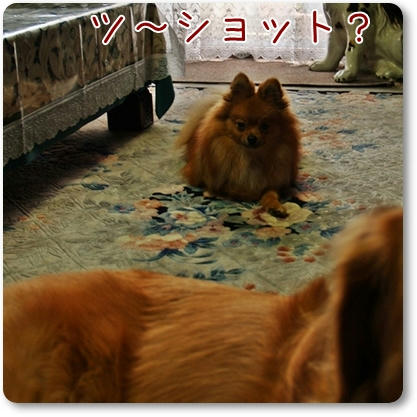 PB276379.JPG