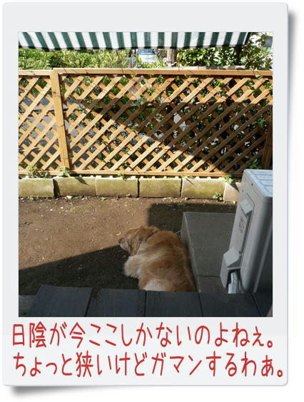 81d97d01.jpeg
