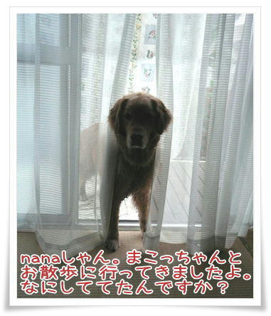8932d55c.jpeg