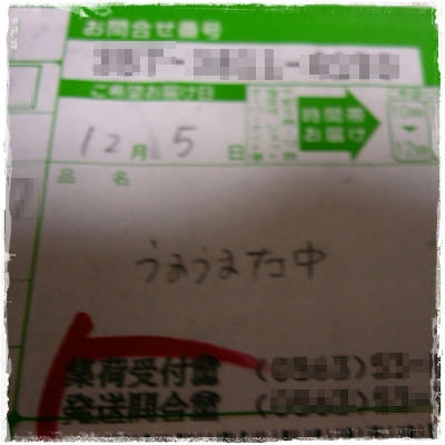 P1070618.JPG
