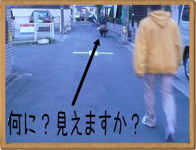 img20090408223457639.jpg