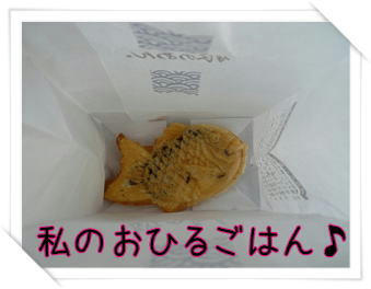 img20090419190533259.jpg