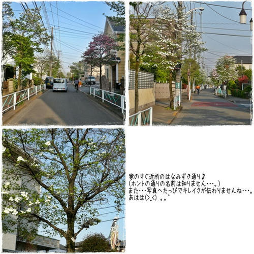 img20090426212848586.jpg