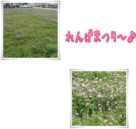img20090412210656889.jpg