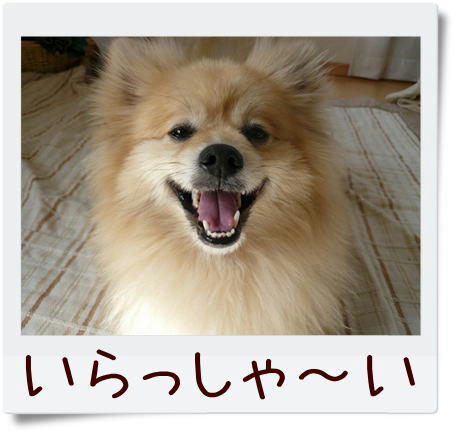 img20090330152856152.jpg