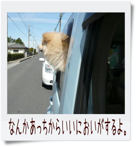 img20090330155027958.jpg
