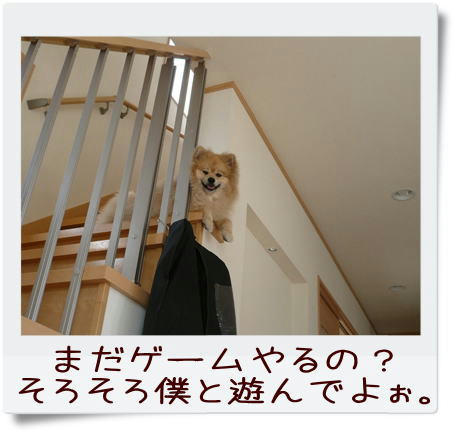 img20090330161930966.jpg