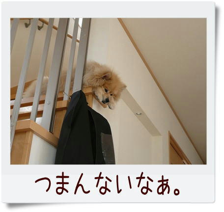 img20090330161959308.jpg