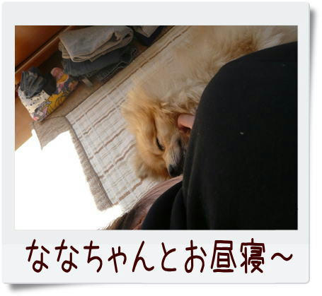 img20090330162819559.jpg