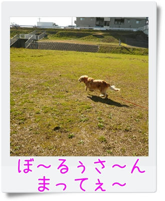 P1070816.JPG