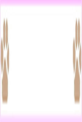 image3.jpg