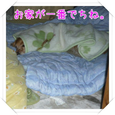 P1080044.JPG