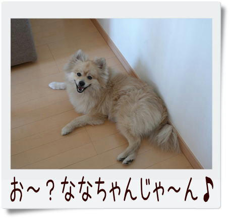 img20090309222914275.jpg