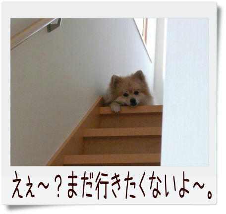 img20090309223540607.jpg