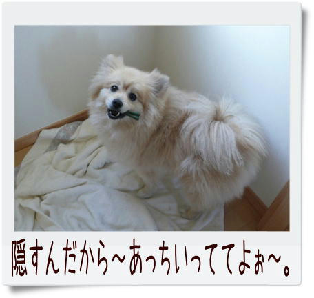 img20090309224609177.jpg