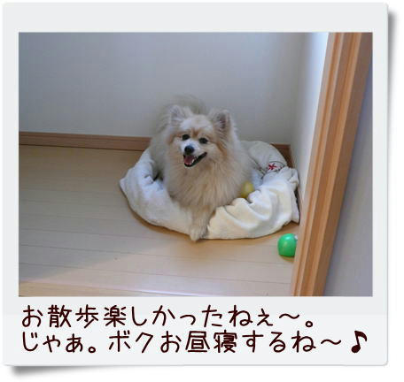 img20090310191639073.jpg